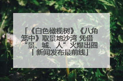 《白色橄榄树》《八角笼中》取景地沙湾 凭借“景、城、人”火爆出圈丨新闻发布最前线