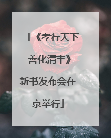 《孝行天下 善化清丰》新书发布会在京举行