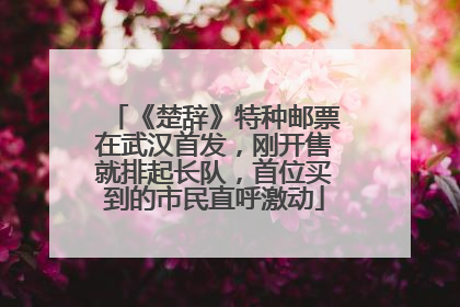 《楚辞》特种邮票在武汉首发，刚开售就排起长队，首位买到的市民直呼激动