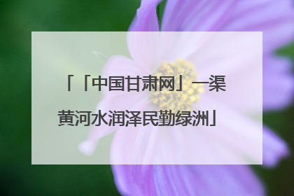 「中国甘肃网」一渠黄河水润泽民勤绿洲