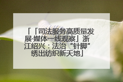 「司法服务高质量发展·媒体一线观察」浙江绍兴：法治“针脚”绣出纺织新天地