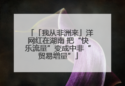 「我从非洲来」洋网红在湖南 把“快乐流量”变成中非“贸易增量”