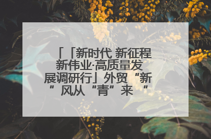 「新时代 新征程 新伟业·高质量发展调研行」外贸“新”风从“青”来 “双向奔赴”启新程