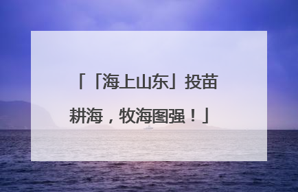 「海上山东」投苗耕海，牧海图强！