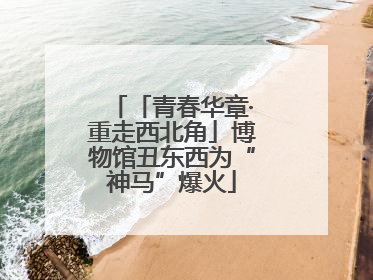 「青春华章·重走西北角」博物馆丑东西为“神马”爆火