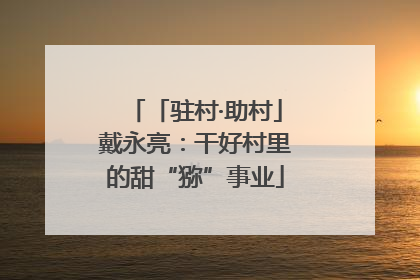 「驻村·助村」戴永亮：干好村里的甜“猕”事业