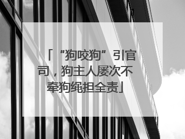 “狗咬狗”引官司，狗主人屡次不牵狗绳担全责