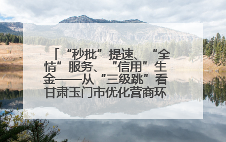 “秒批”提速、“全情”服务、“信用”生金——从“三级跳”看甘肃玉门市优化营商环境的进阶之路