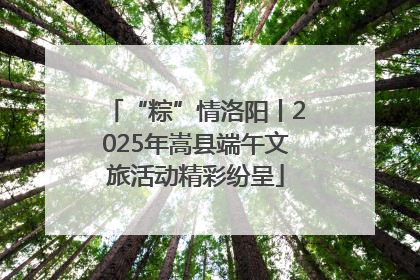 “粽”情洛阳丨2025年嵩县端午文旅活动精彩纷呈