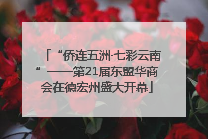 “侨连五洲·七彩云南”——第21届东盟华商会在德宏州盛大开幕