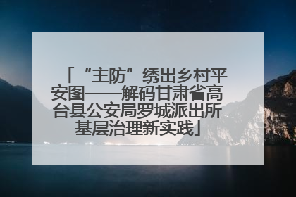 “主防”绣出乡村平安图——解码甘肃省高台县公安局罗城派出所基层治理新实践