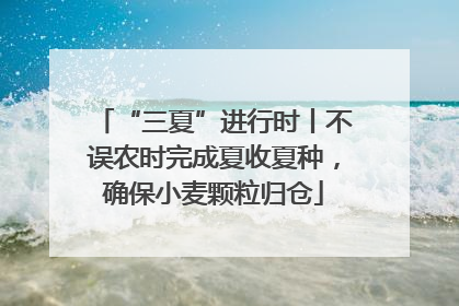 “三夏”进行时丨不误农时完成夏收夏种，确保小麦颗粒归仓