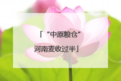 “中原粮仓”河南麦收过半