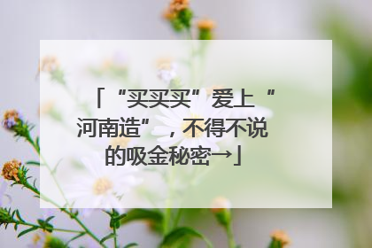 “买买买”爱上“河南造”，不得不说的吸金秘密→
