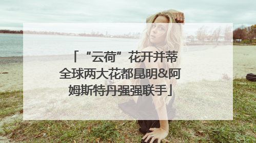 “云荷”花开并蒂 全球两大花都昆明&阿姆斯特丹强强联手
