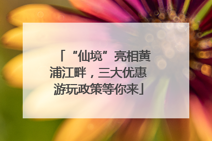 “仙境”亮相黄浦江畔，三大优惠游玩政策等你来