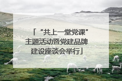 “共上一堂党课”主题活动暨党建品牌建设座谈会举行