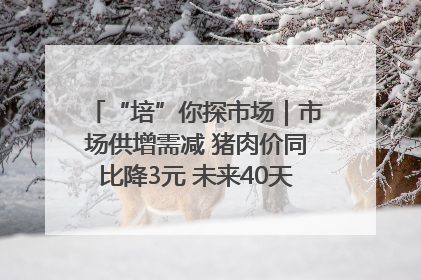“培”你探市场｜市场供增需减 猪肉价同比降3元 未来40天便宜猪肉敞开吃