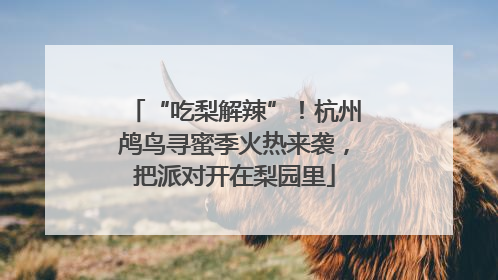 “吃梨解辣”！杭州鸬鸟寻蜜季火热来袭，把派对开在梨园里