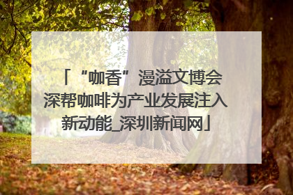 “咖香”漫溢文博会 深帮咖啡为产业发展注入新动能_深圳新闻网
