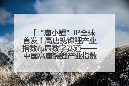 “唐小鲤”IP全球首发！高唐携锦鲤产业指数布局数字赛道——中国高唐锦鲤产业指数暨“唐小鲤”IP全球首发仪式在杭州举行