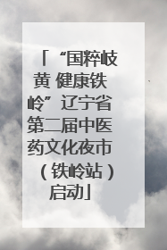 “国粹岐黄 健康铁岭”辽宁省第二届中医药文化夜市（铁岭站）启动