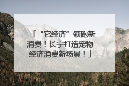 “它经济”领跑新消费！长宁打造宠物经济消费新场景！