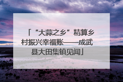 “大蒜之乡”精算乡村振兴幸福账——成武县大田集镇见闻