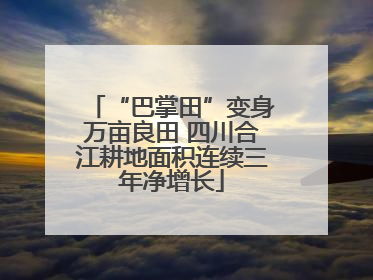 “巴掌田”变身万亩良田 四川合江耕地面积连续三年净增长