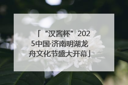 “汉酱杯”2025中国·济南明湖龙舟文化节盛大开幕