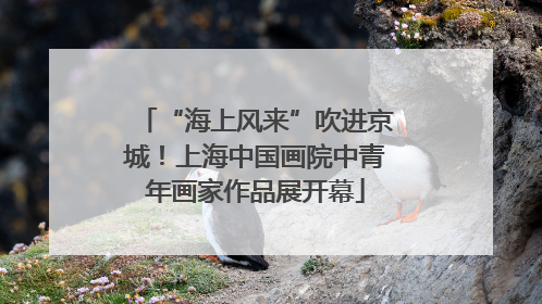 “海上风来”吹进京城！上海中国画院中青年画家作品展开幕