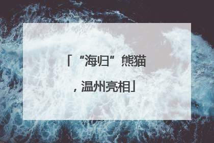 “海归”熊猫，温州亮相