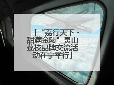 “荔行天下・甜满金陵”灵山荔枝品牌交流活动在宁举行