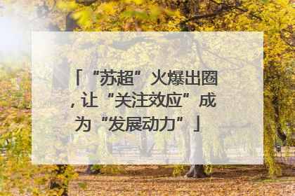 “苏超”火爆出圈，让“关注效应”成为“发展动力”