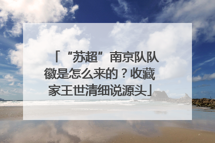 “苏超”南京队队徽是怎么来的？收藏家王世清细说源头
