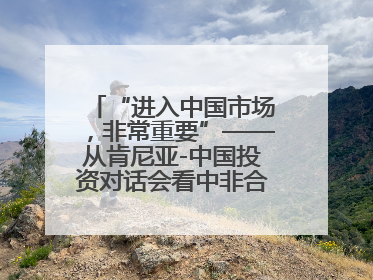 “进入中国市场，非常重要”——从肯尼亚-中国投资对话会看中非合作机遇