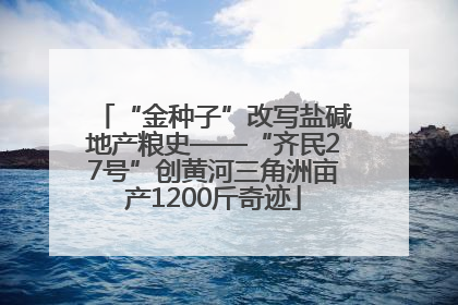 “金种子”改写盐碱地产粮史——“齐民27号”创黄河三角洲亩产1200斤奇迹