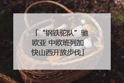 “钢铁驼队”驰欧亚 中欧班列加快山西开放步伐