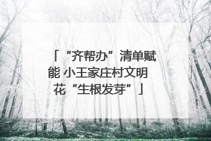 “齐帮办”清单赋能 小王家庄村文明花“生根发芽”