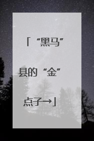 “黑马”县的“金”点子→