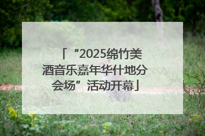 “2025绵竹美酒音乐嘉年华什地分会场”活动开幕