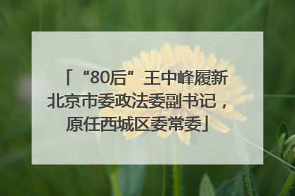 “80后”王中峰履新北京市委政法委副书记，原任西城区委常委