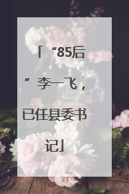 “85后”李一飞，已任县委书记