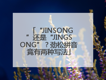 “JINSONG”还是“JINGSONG”？劲松拼音竟有两种写法