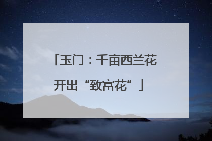 玉门：千亩西兰花开出“致富花”