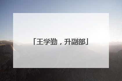王学勤，升副部