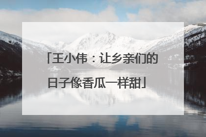 王小伟：让乡亲们的日子像香瓜一样甜