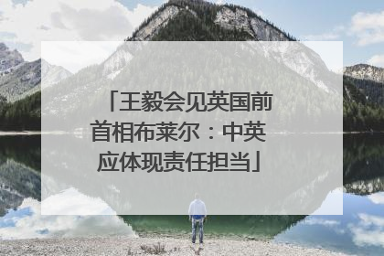 王毅会见英国前首相布莱尔：中英应体现责任担当