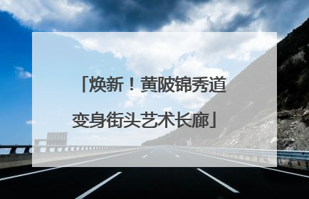 焕新！黄陂锦秀道变身街头艺术长廊