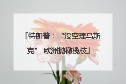 特朗普：“没空理马斯克” 欧洲抛橄榄枝